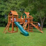Pioneer Peak Swing Set - Image 13